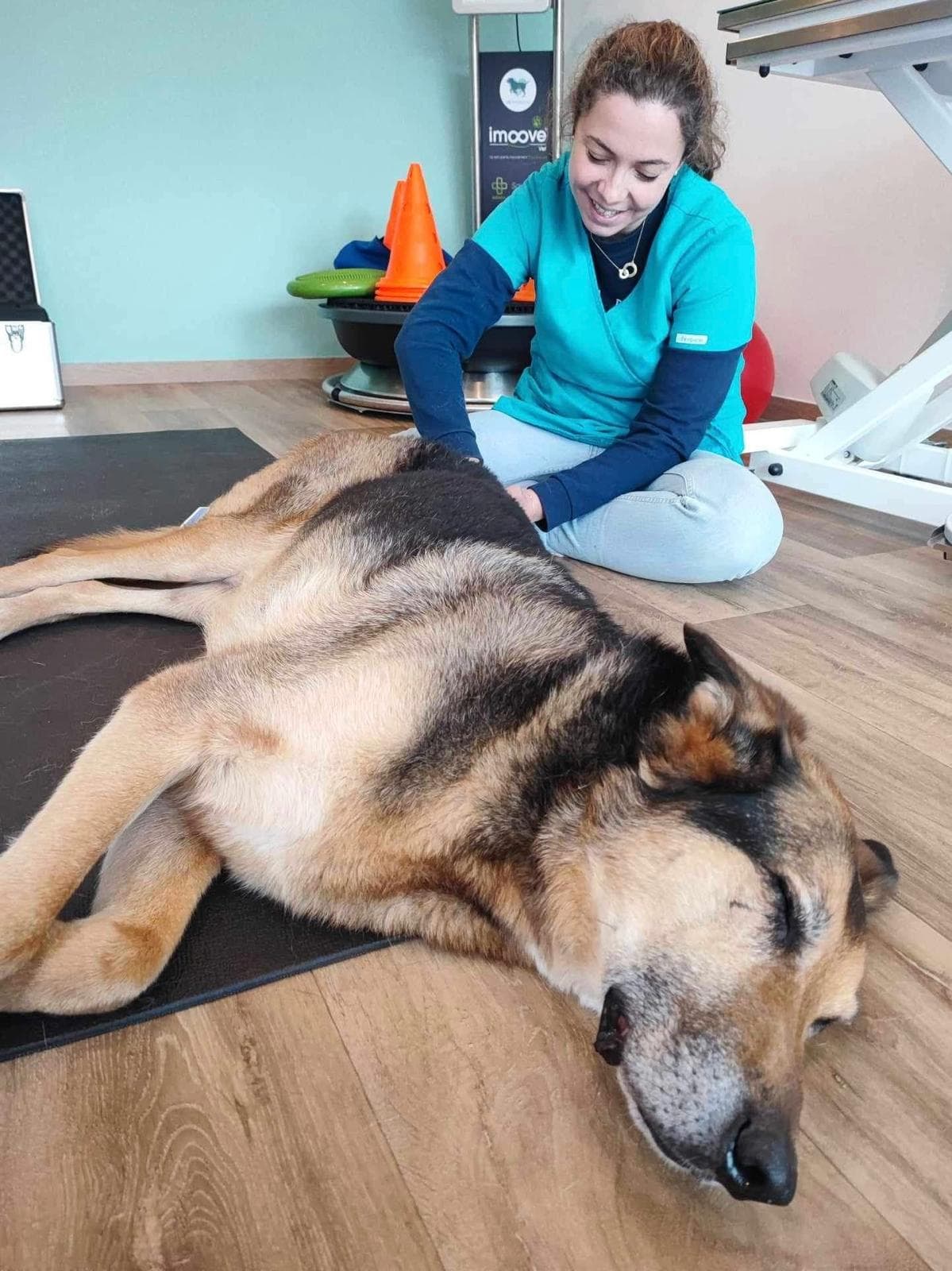 Dr. Astrid Jarleton — gestion de la douleur chez le chien, soins doux et physiothérapie